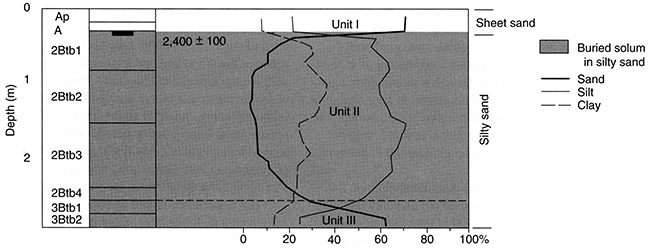 Pedostratigraphy, soil horizonation, and texture at Phillips Trench.