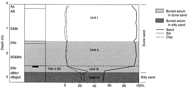 Pedostratigraphy, soil horizonation, and texture at Reno 3.