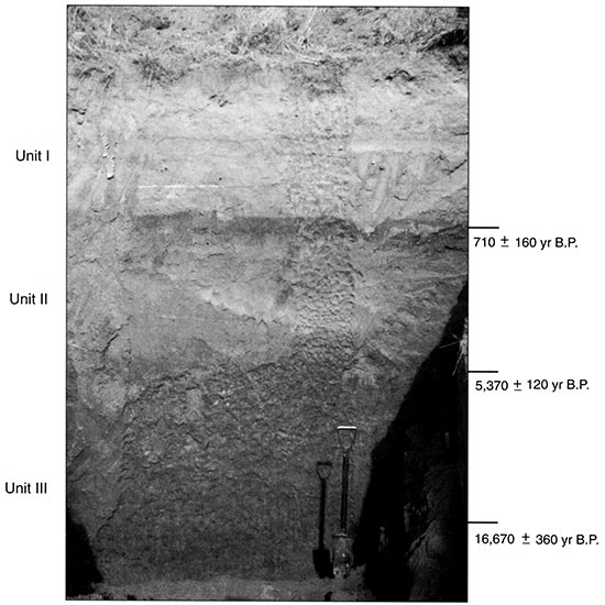 Black and white photo of Reno 4 showing the position of pedostratigraphic units and radiocarbon ages.