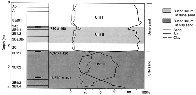 Pedostratigraphy, soil horizonation, and texture at Reno 4.