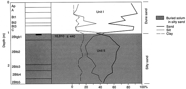 Pedostratigraphy, soil horizonation, and texture at Stafford 1.