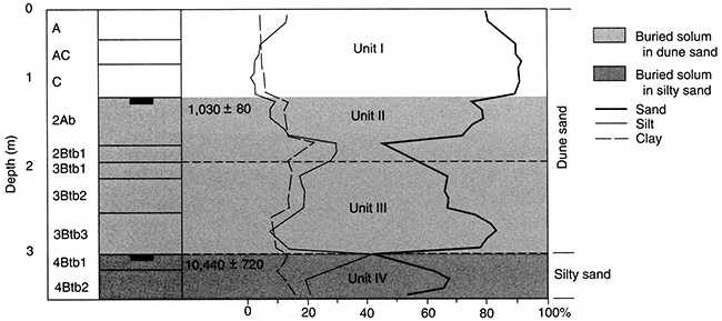 Pedostratigraphy, soil horizonation, and texture at Stafford 2.