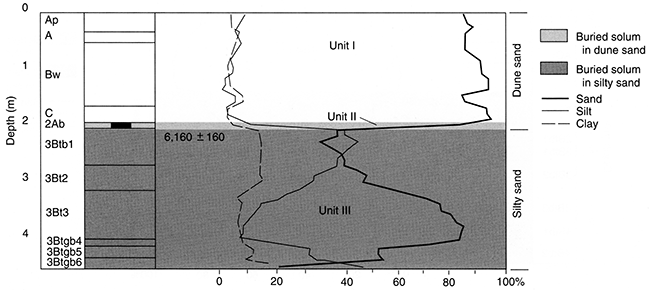 Pedostratigraphy, soil horizonation, and texture at Stafford 3.