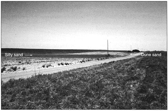 Black and white photo of outcrop of silty sand in a dune field.