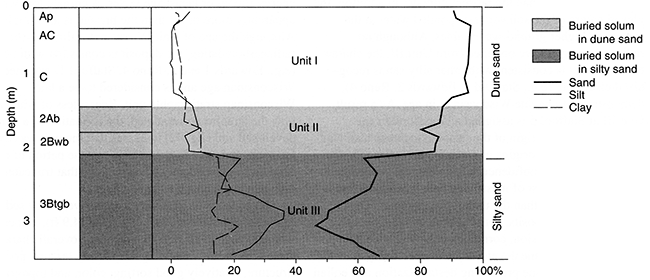 Pedostratigraphy, soil horizonation, and texture at Stafford 5.