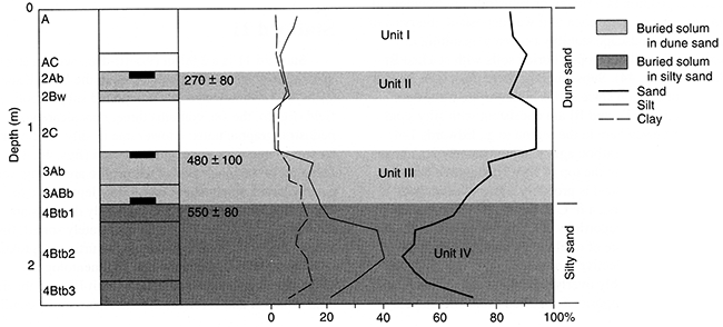 Pedostratigraphy, soil horizonation, and texture at Stafford 6.