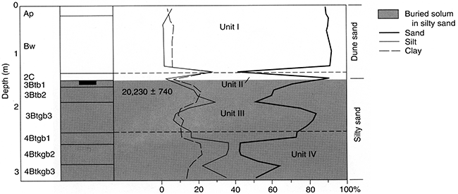 Pedostratigraphy, soil horizonation, and texture at Stafford 10.