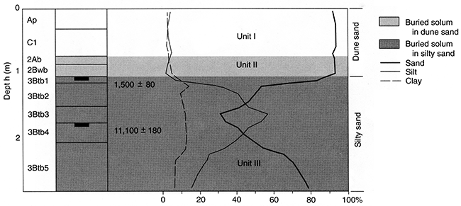 Pedostratigraphy, soil horizonation, and texture at Stafford 11.