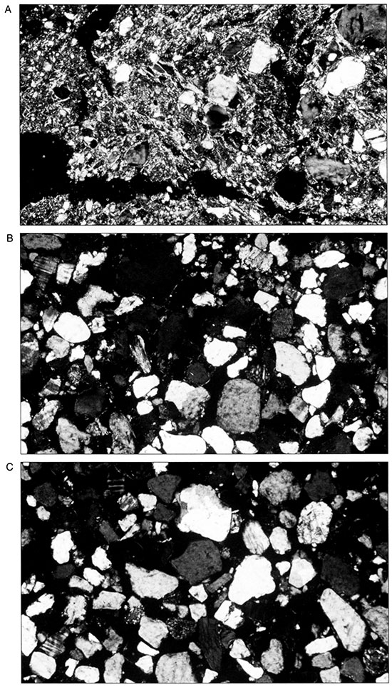 Thin sections of EBtb4, 2Ab, and C2 horizons at Stafford 11.