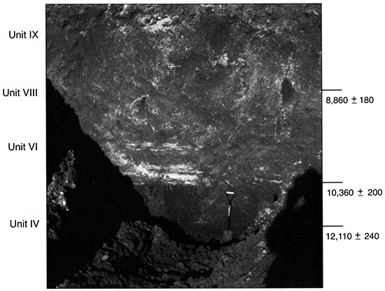 Black and white photo of Trench 3 showing the position of pedostratigraphic units and radiocarbon ages.