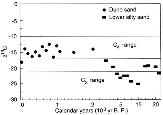 Distribution of delta C-13 values and radiocarbon age from the lower silty sand and dune sand on the Great Bend Sand Prairie.