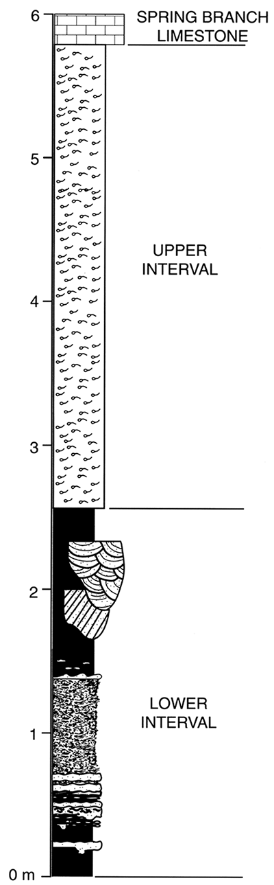 General stratigraphic column of the Stull Shale Member, Kanwaka Shale, at the Waverly trace-fossil site.