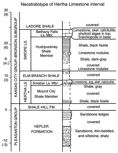 Measured section of Hertha Limestone interval neostratotype and associated units.
