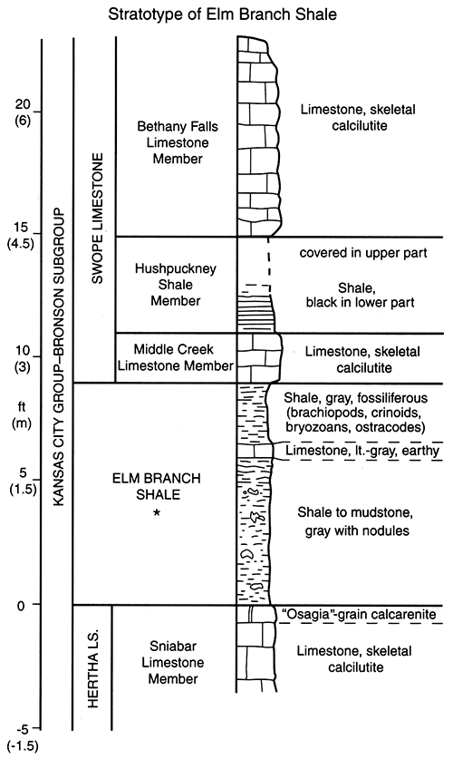 Measured section of Elm Branch Shale stratotype.