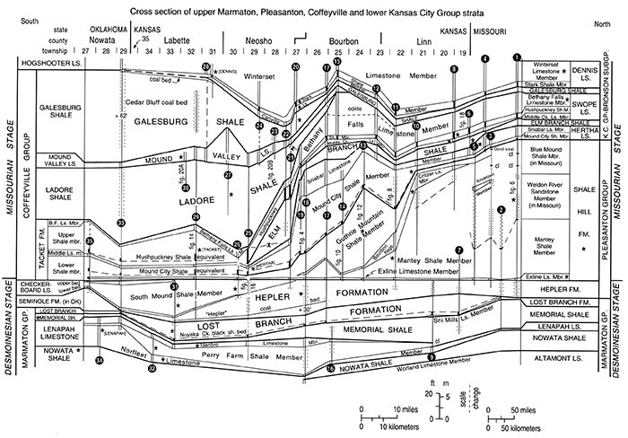 Correlation cross section of uppermost Desmoinesian and lower Missourian strata.