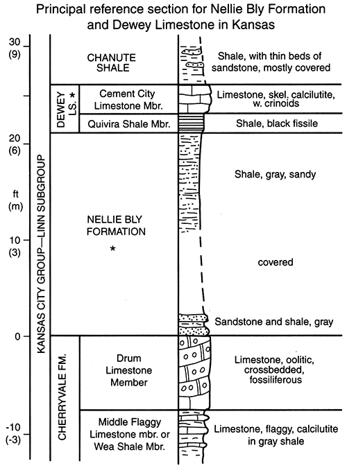 Measured section of principal reference sections of Nellie Bly Formation and Dewey Limestone.