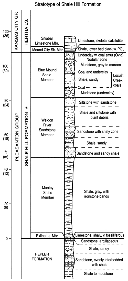 Measured section of Shale Hill Formation stratotype in shale pit of Glen-Gery Brick Co.