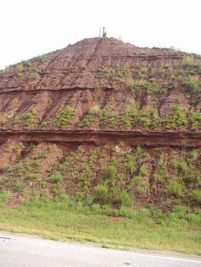 Color photo of roadcut with Flower-pot Shale exposed.