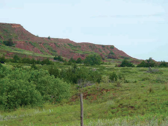 Color photo of red hills in background beyond grasslands showing Cedar Hills Sandstone.