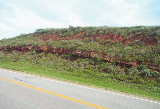 Color photo of roadcut with Dog Creek Formation exposed.