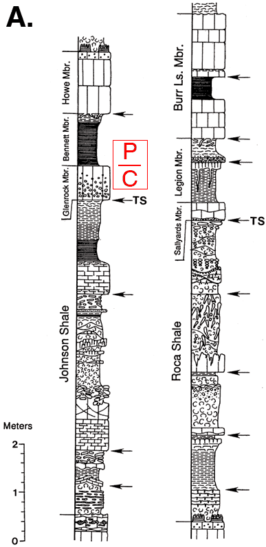 Stratigraphic sections; Burr Ls Mbr of Grenola Sh of Permian down to Johnson Sh of Upper Pennsylvanian.