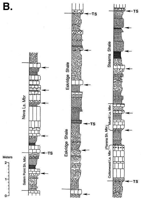 Stratigraphic sections; Stearns Sh down to Salem Point Sh Mbr of Grenola Ls.