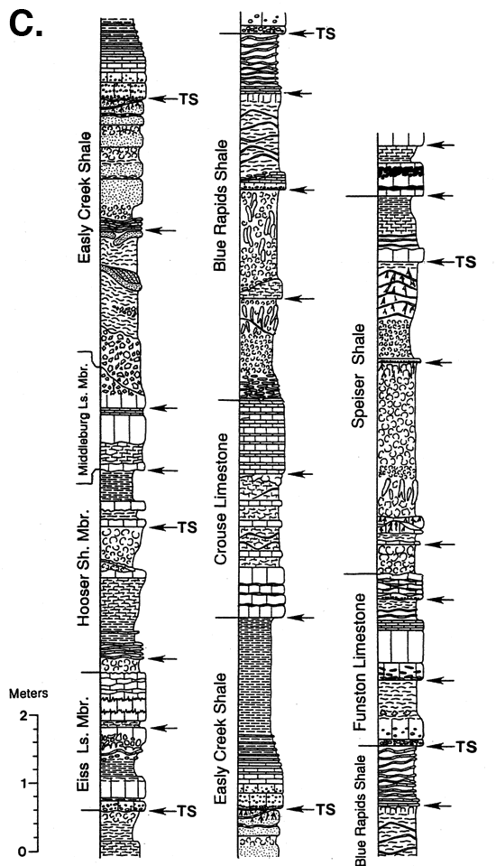 Stratigraphic sections; Speiser Sh down to Eiss Ls Mbr of Bader Ls.