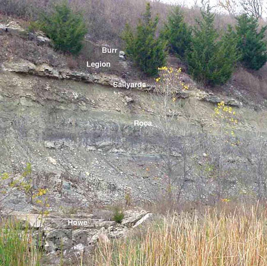Color photo of eroded hillside, cedars at top; with Burr, Legion, and Sallyards members of Grenols Ls; Roca Shale; and Howe Ls Mbr of Red Eagle Ls at bottom.