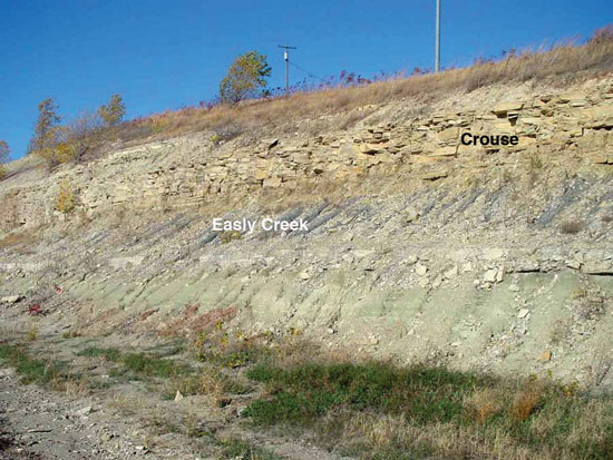 Color photo of roadcut, Crouse Ls and Easly Creek Sh.