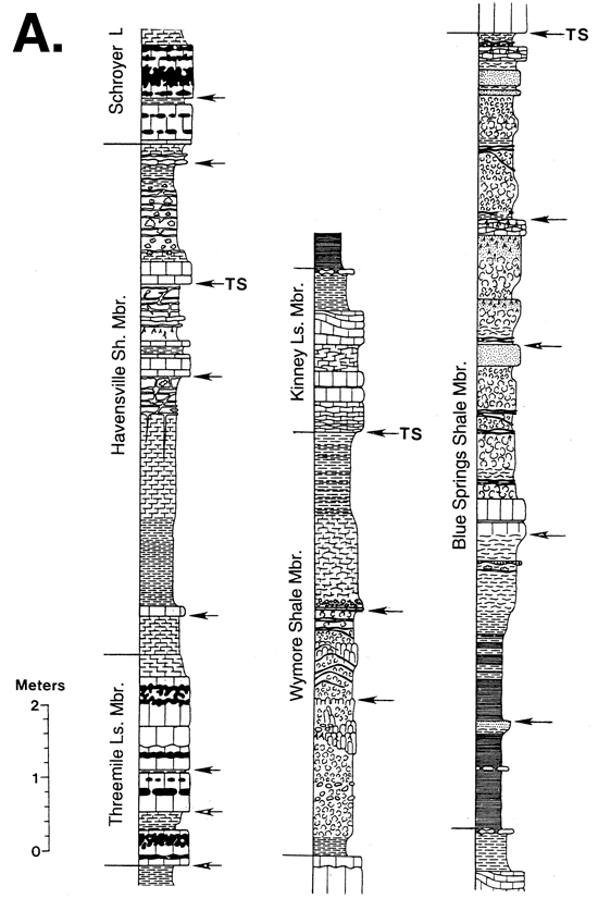 Stratigraphic sections; Blue Springs Sh Mbr of Matfield Sh down to Threemile Ls Mbr of Wreford Ls.