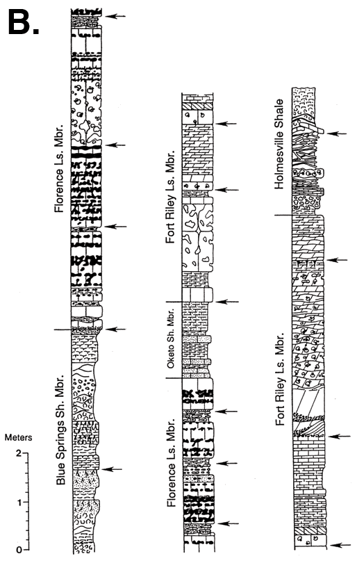 Stratigraphic sections; Holmesville Sh Mbr of Doyle Sh down to Blue Springs Sh Mbr of Matfield Sh.