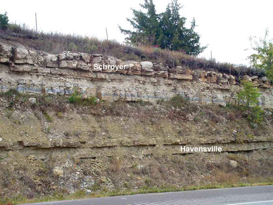 Color photo of roadcut; Schroyer and Havensville members of Wreford Ls.