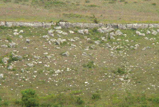 Color photo of striking gray limestone outcrop in middle of grassy hillside.