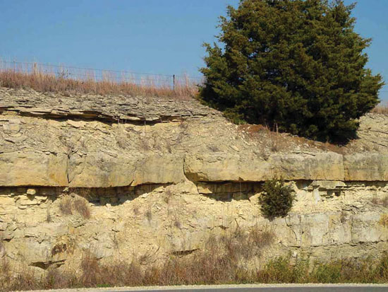 Color photo of roadcut, Fort Riley Ls Mbr of Barneston Ls.