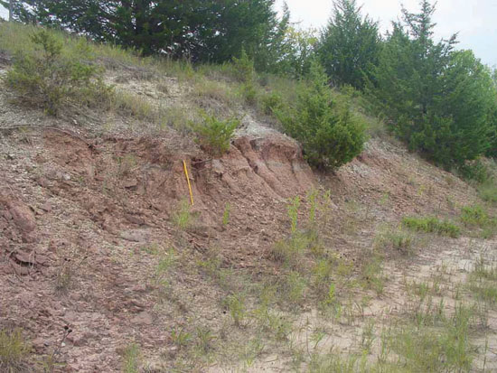 Color photo of roadcut, Gage Sh Mbr of Doyle Sh.