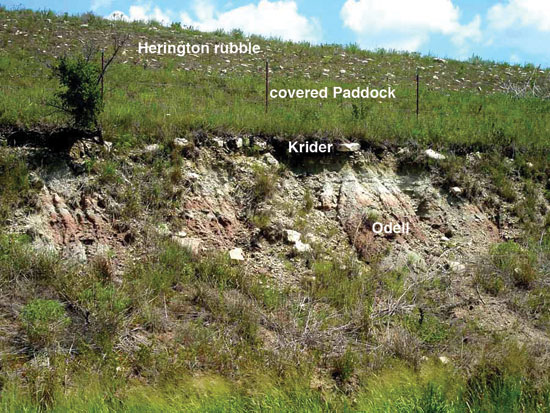 Color photo of roadcut and hillside, Herington, Paddock, and Krider members of Nolans Ls above Odell Shale.
