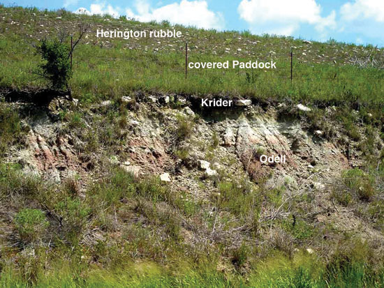 Color photo of roadcut and hillside, Herington, Paddock, and Krider members of Nolans Ls above Odell Shale.