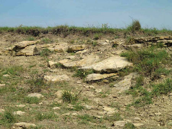 Color photo of limestone blocks on hillside, Carlton Ls Mbr of Wellington Fm.