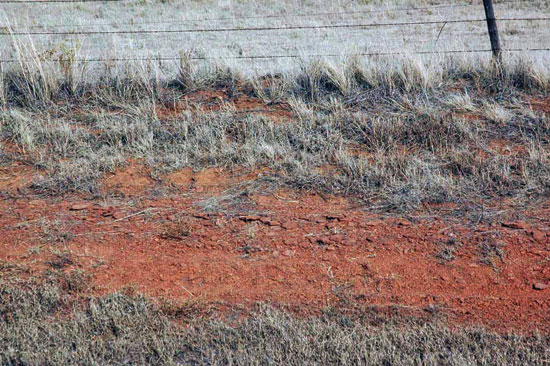 Color photo of redddish Ninnescah Shale in ditch.