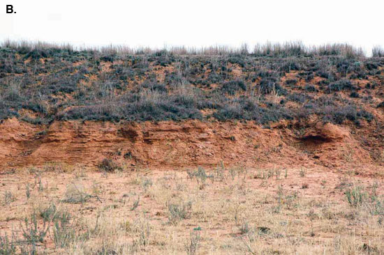 Color photo, closeup of Salt Plain Formation.