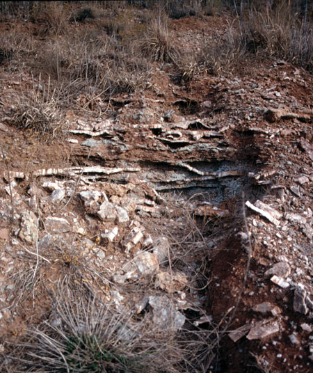 Color photo, closeup of gypsum in eroded channel.
