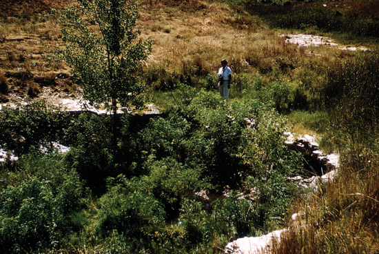 Color photo, Day Creek Dolomite in creek bed.