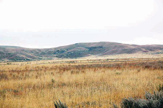 Color photo, Big Basin Formation, exposed in hills above grassy plain.