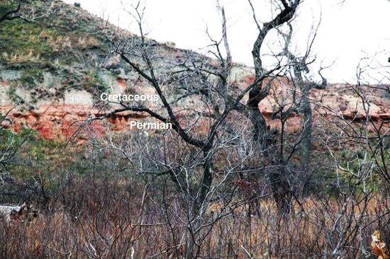 Color photo, Cretaceous-Permian contact on cliff face beyond brush in stream bed.