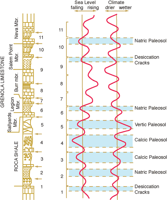 Comparison of Grenola Shale and Roca Shale units and two curves (sea level and dry-wet climate).