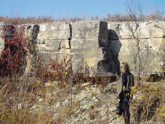 Color photo of massive limestone, at lease 6 feet high; Cottonwood Ls Mbr of Beattie Ls.