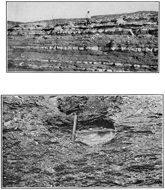 Black and white photos; upper is of Cretaceous Greenhorn limestone, lower is of clay shale belonging to the Carlile.