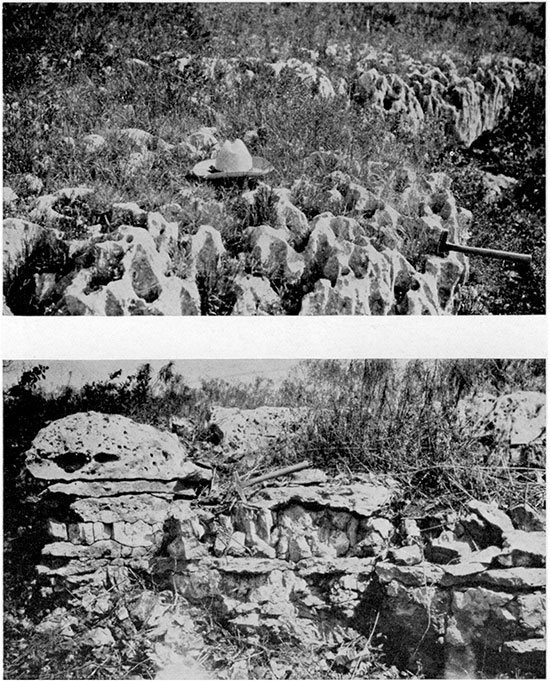 Black and white photos of Wreford limestone in Cowley County.