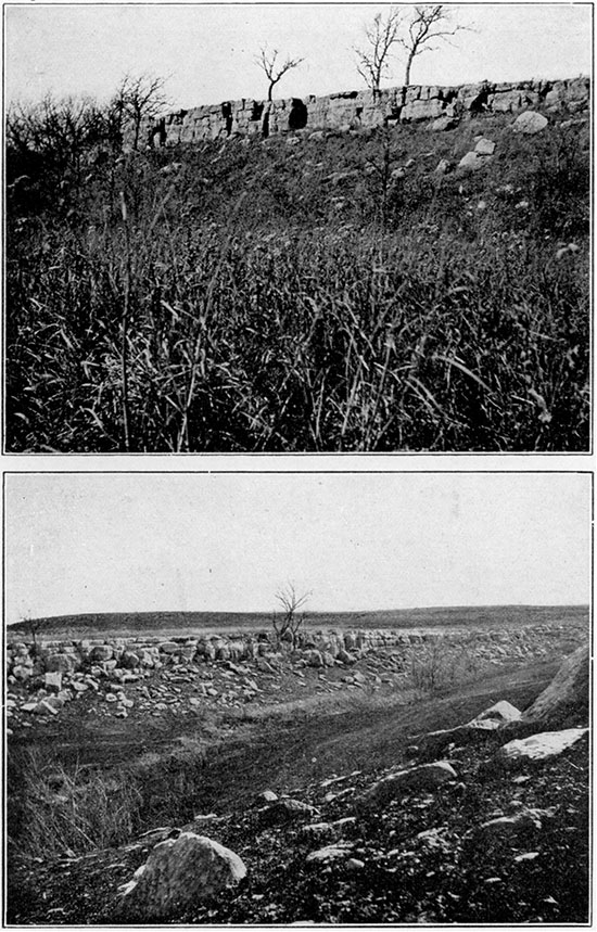 Black and white photos of limestone belonging to the Chase group, Lower Permian, in Riley County.