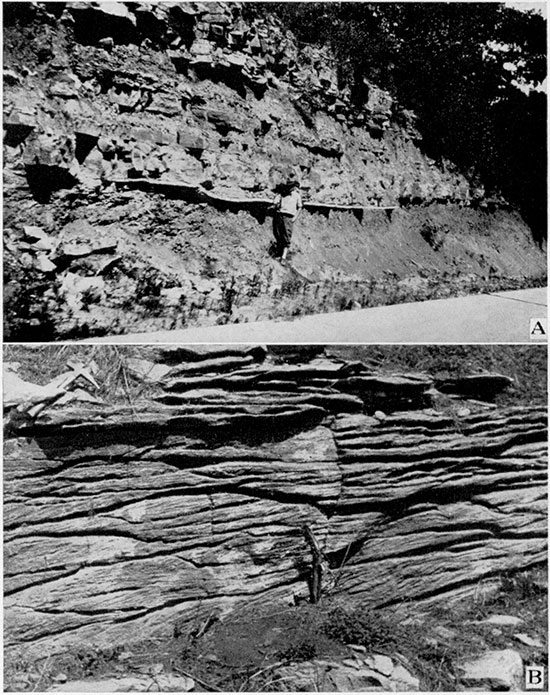 Black and white photos of Pennsylvanian shale and limestone in Leavenworth County.